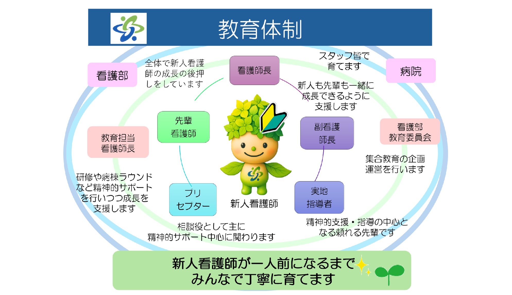 新人看護師サポート体制