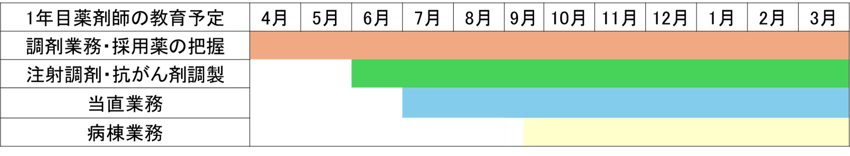 1年目薬剤師の教育内容