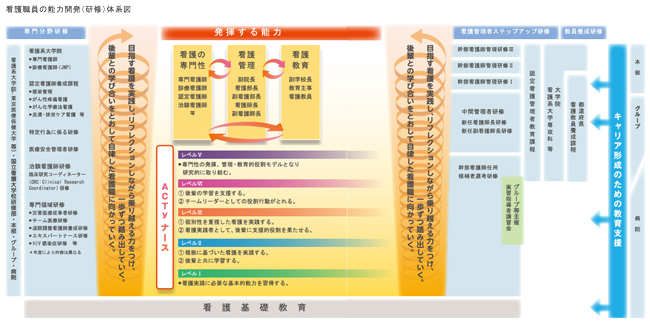 看護職員の能力開発（研修体系図）